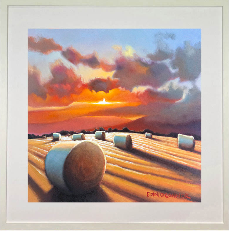 Evening Glow