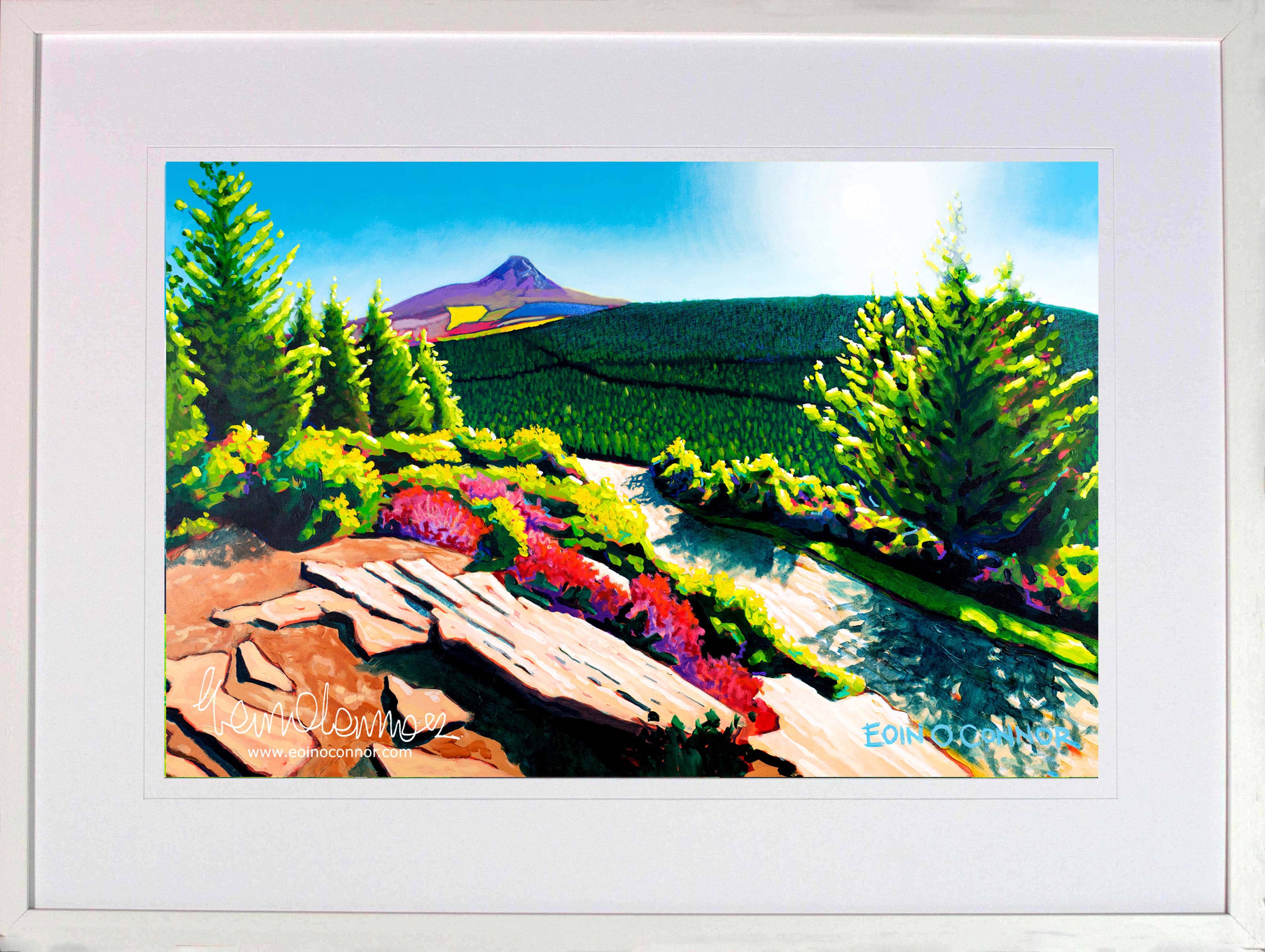 The Great Sugarloaf Wicklow