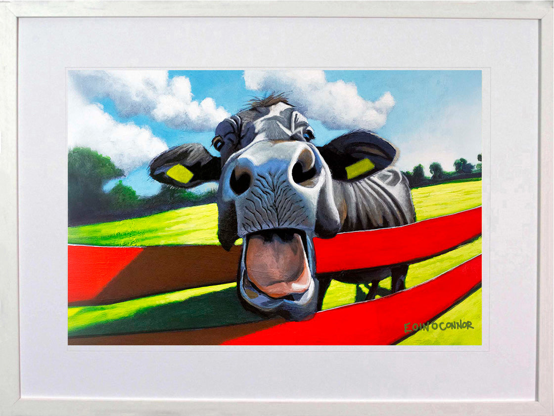 Fine Art Prints - Animal