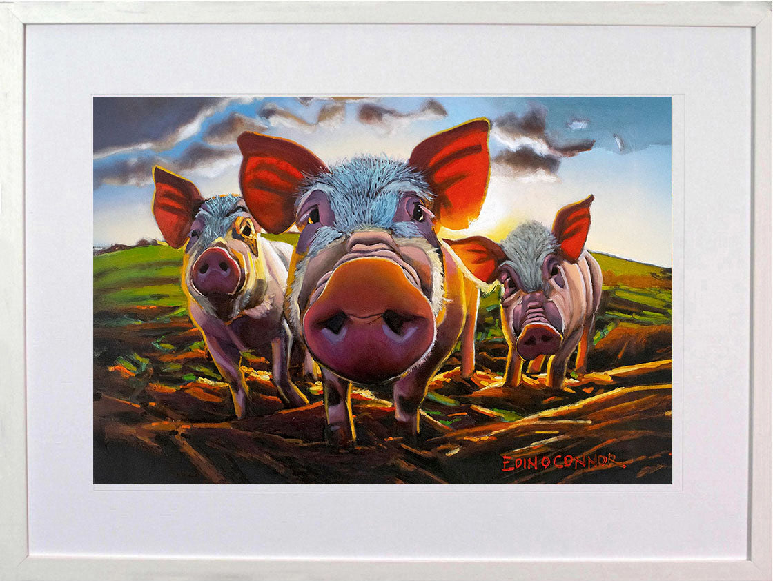 Bring Home The Bacon