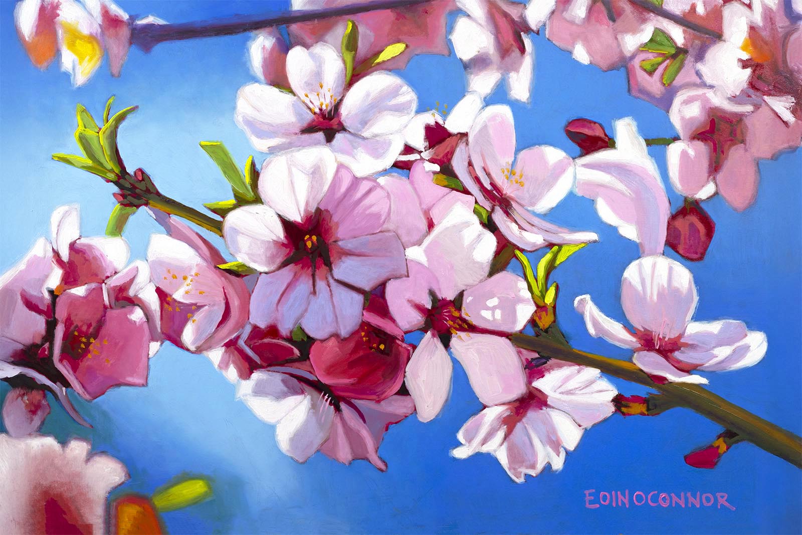 Dance of the Cherry tree (Secret Garden collection)