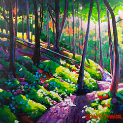 DAPPLED LIGHT, Limited Edition Framed Canvas