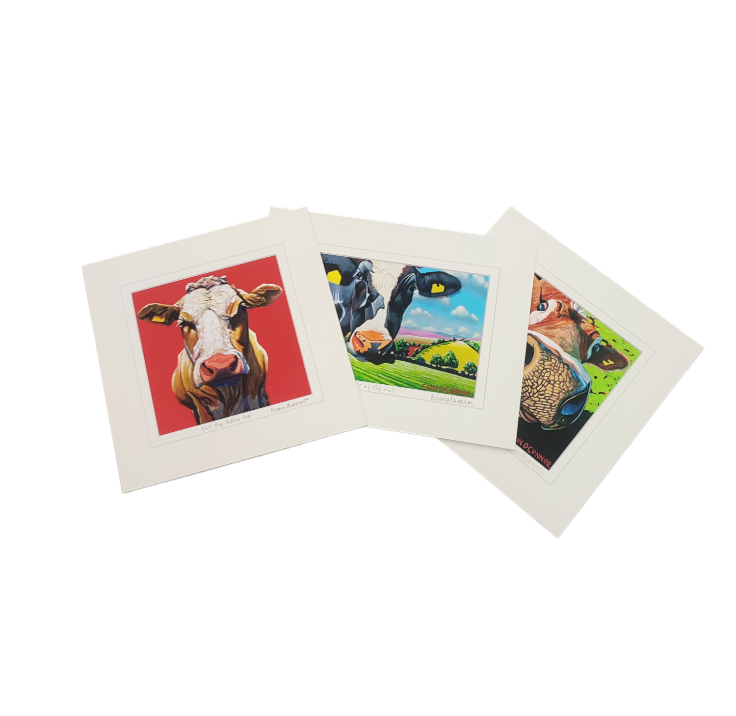 Cow Medium Mount Bundle ( Pack of 3)