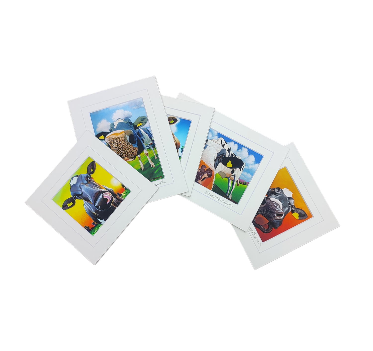 Cow Small Mount Bundle ( Pack of 5)