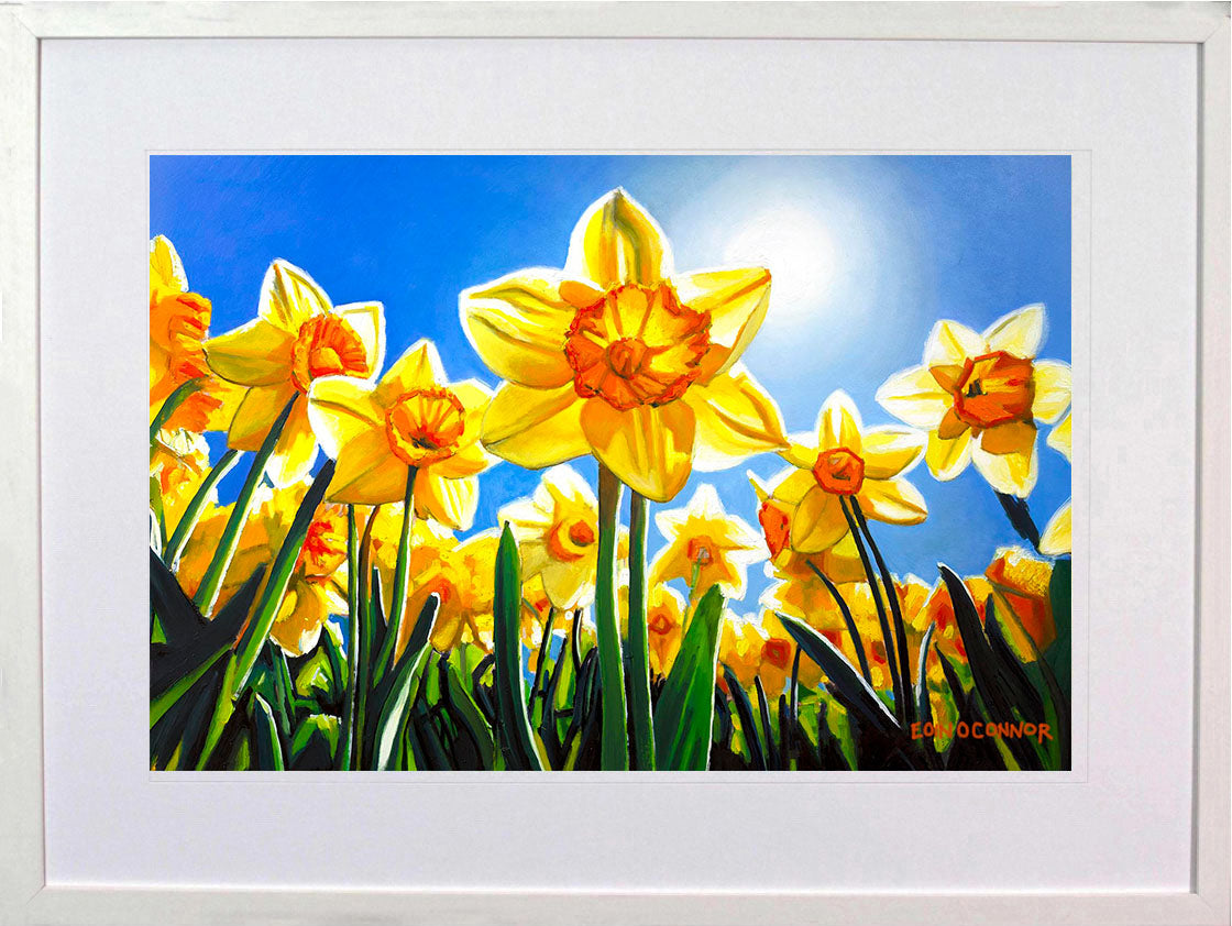 Jubilation (Secret Garden collection)