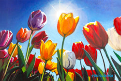 Reach for the sun  (Secret Garden collection)