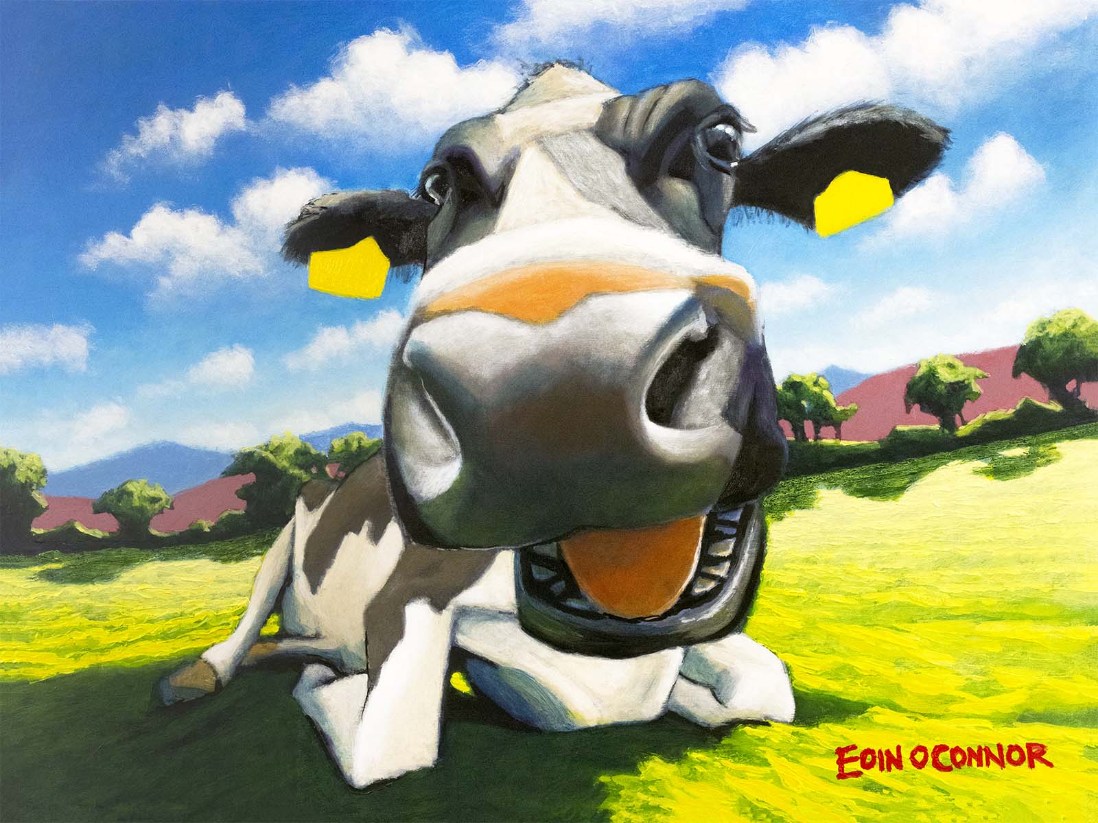 www.eoinoconnor.com