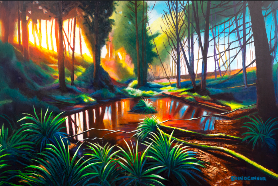After The Rain (Kiltennel Woods)