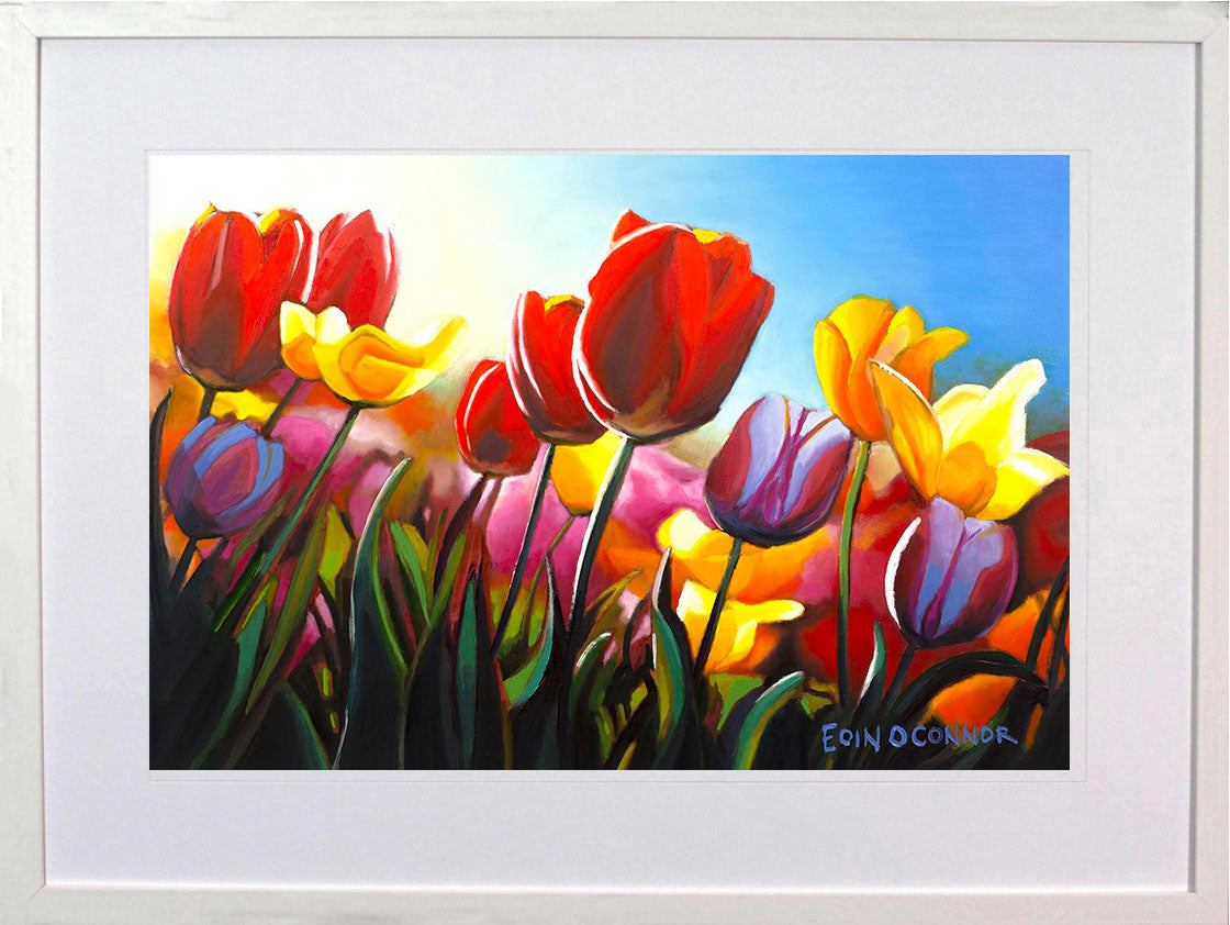 Viva la vida (Secret Garden collection)