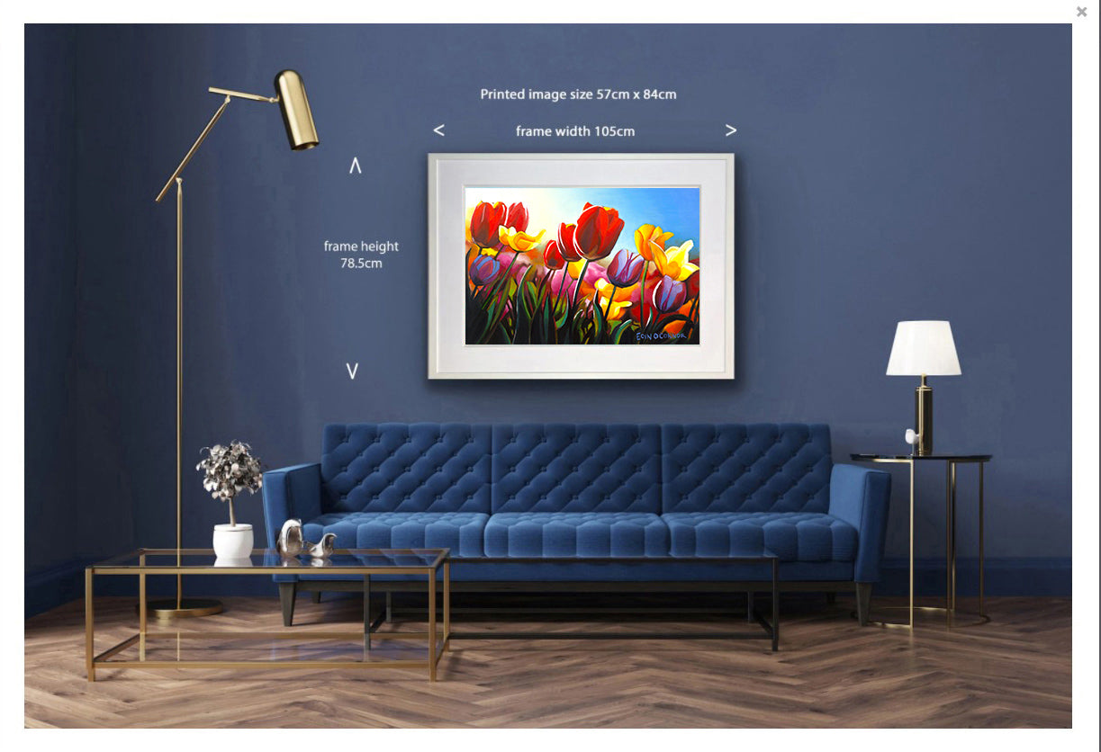 Viva la vida (Secret Garden collection)