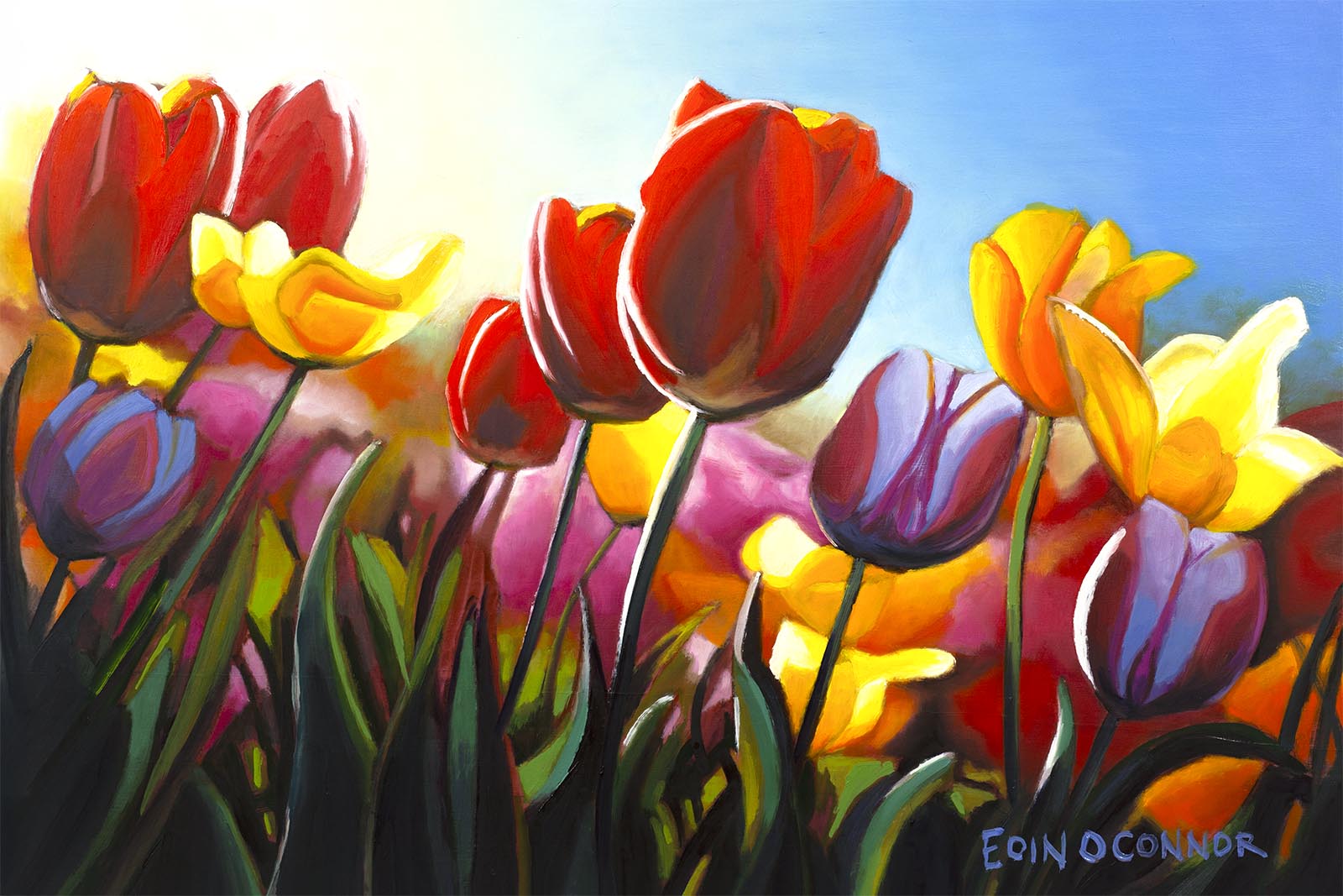 Viva la vida (Secret Garden collection)