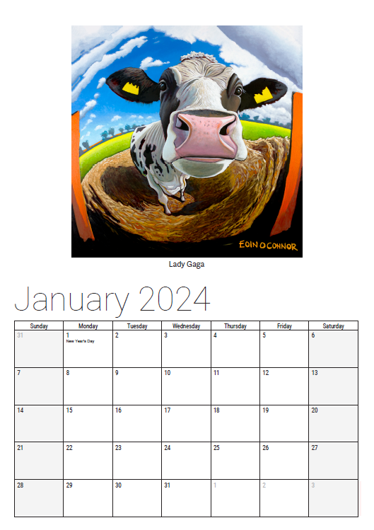 NEW Limited Edition 2024 Cow Collection Calendar