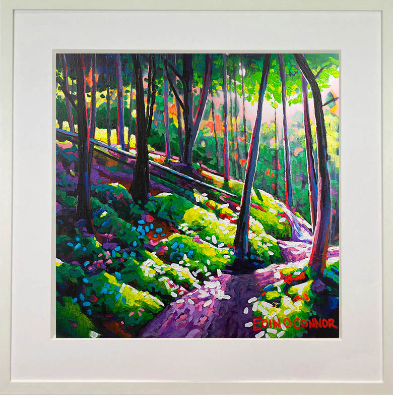 Dappled Light (LIMITED EDITION)