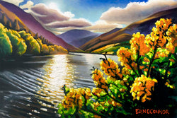 Glendalough gorse