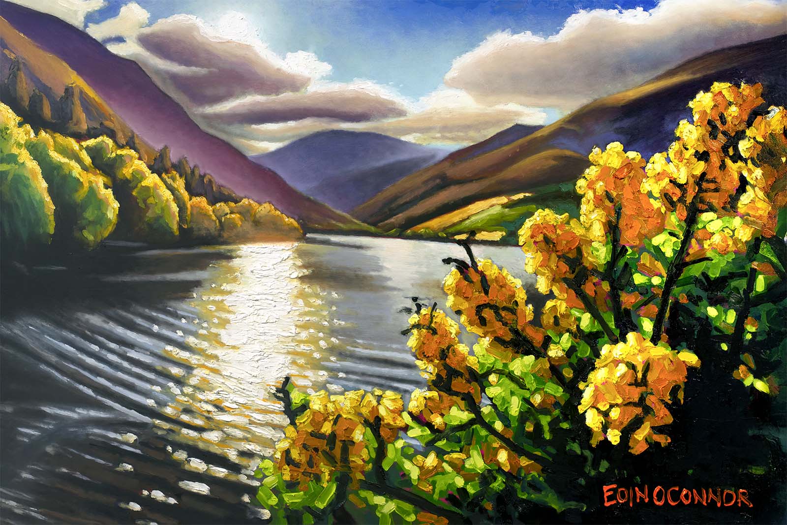 Glendalough Gorse Framed Canvas