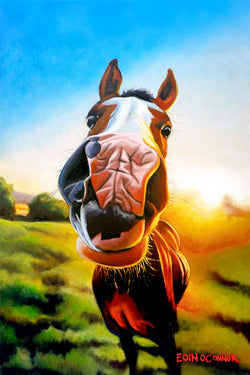 Happy Horsey