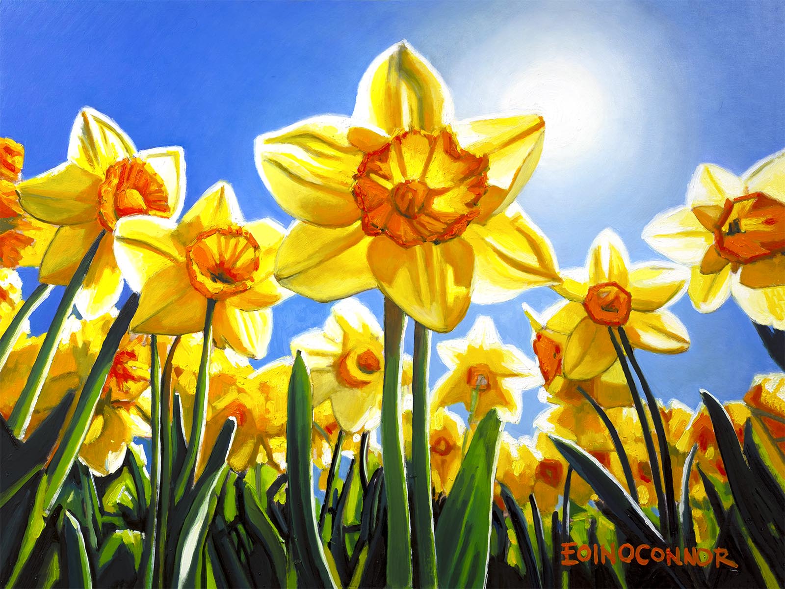 Jubilation (Secret Garden collection)