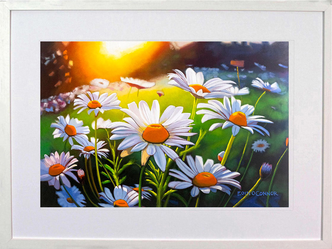 Secret Garden (Secret Garden collection)