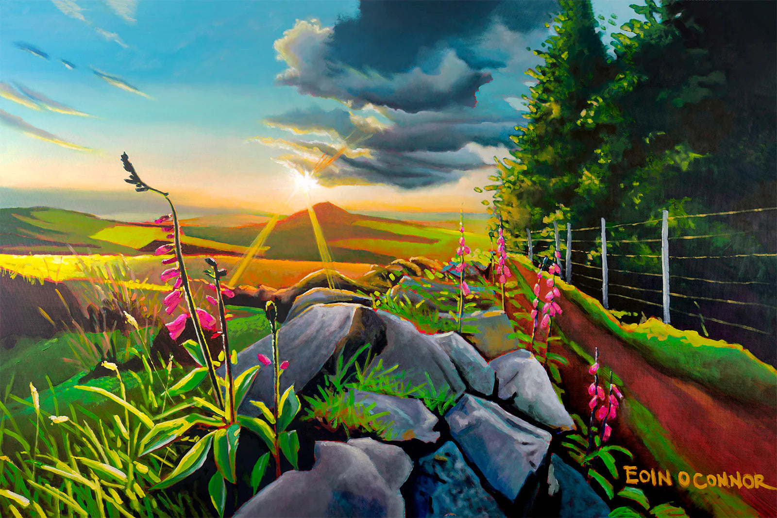 Eoin O Connor Landscape Greeting Cards