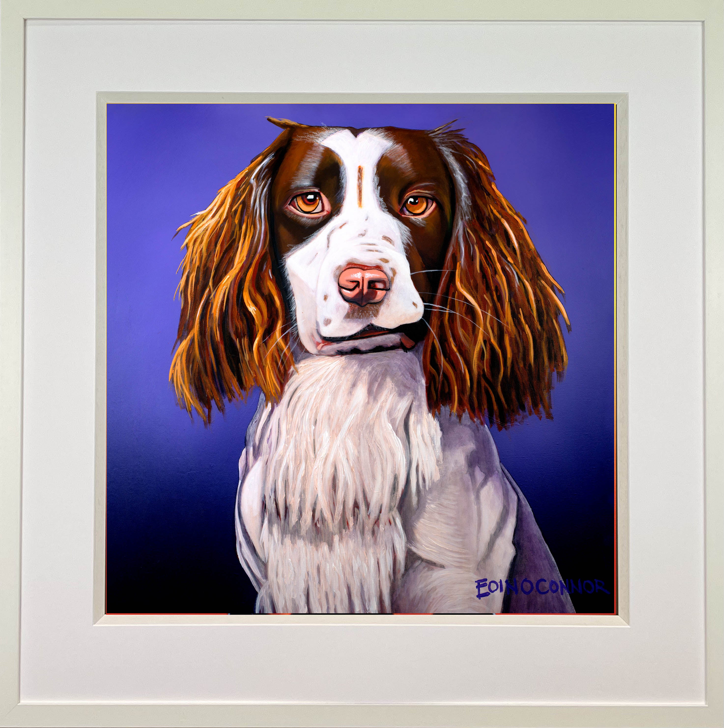 Jerry Springer (SALE)