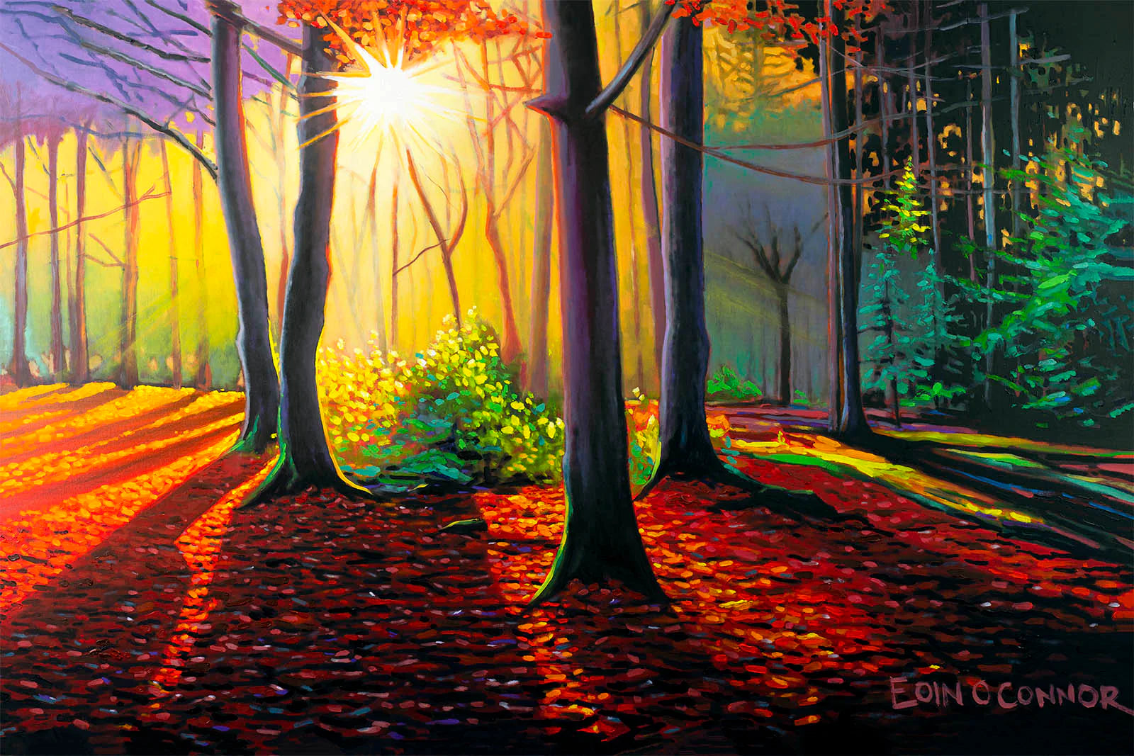 Eoin O Connor Landscape Greeting Cards