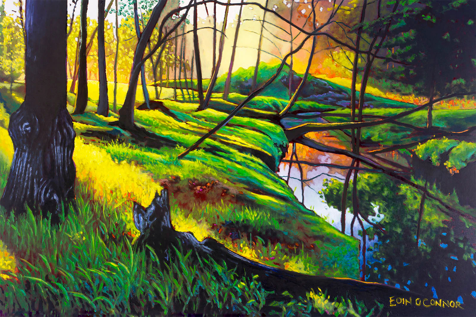 Eoin O Connor Landscape Greeting Cards