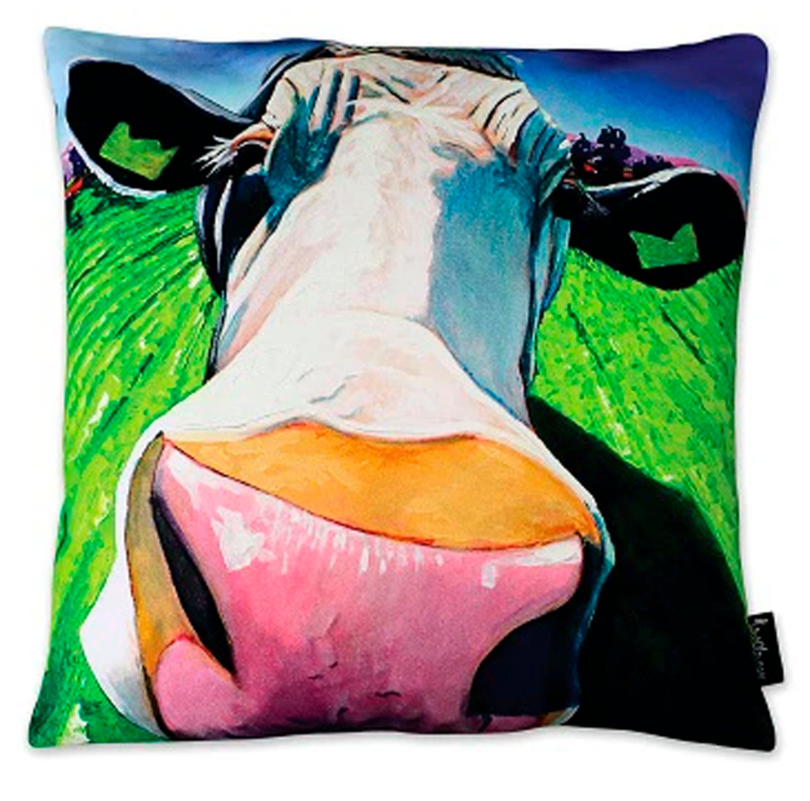The moover and shaker 45cm x 45cm Luxury cushion