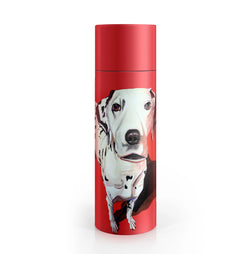 Cruella Water Bottle