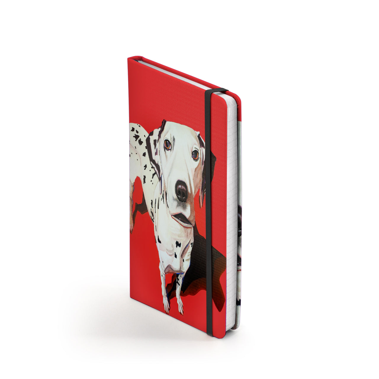 Cruella Notebook