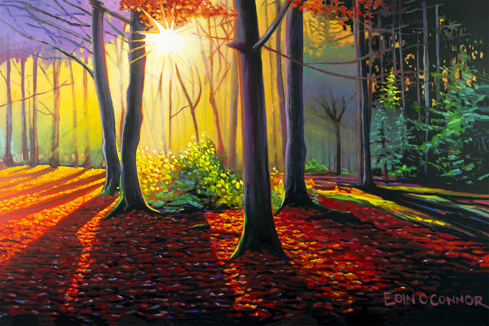 Look On The Bright Side